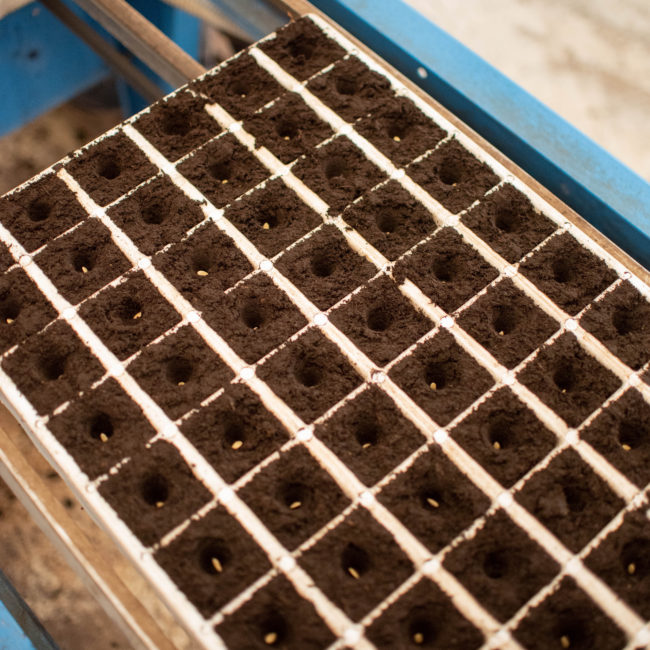 Legarddefermeenferme137