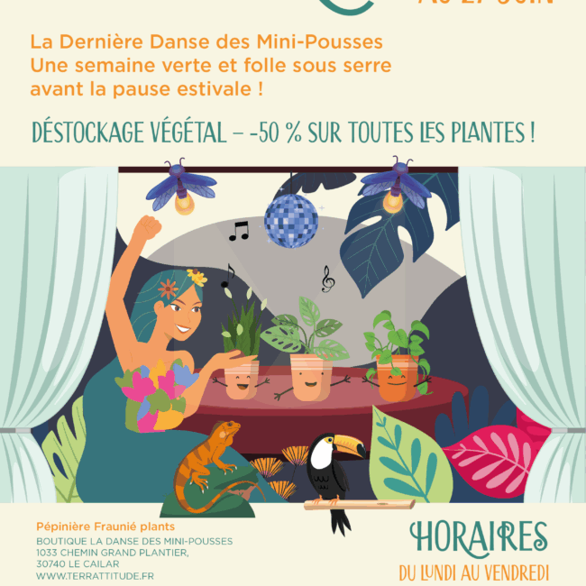 Flyer vide serre