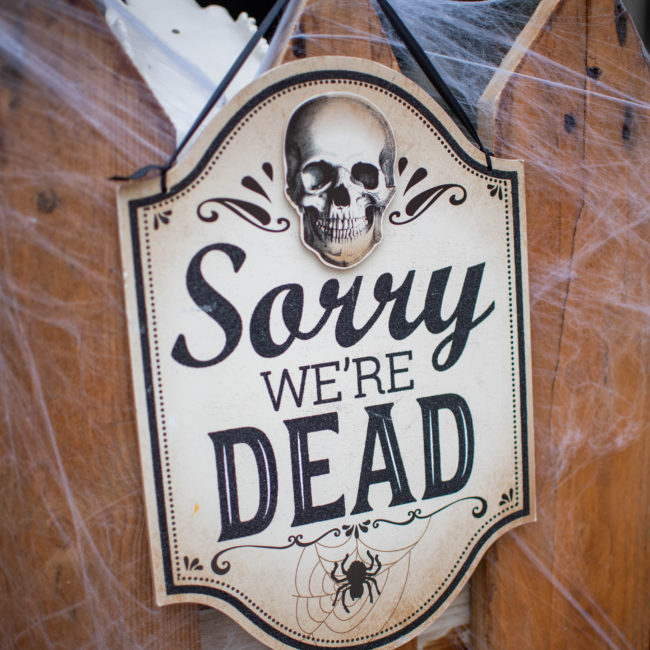 Halloween2024119