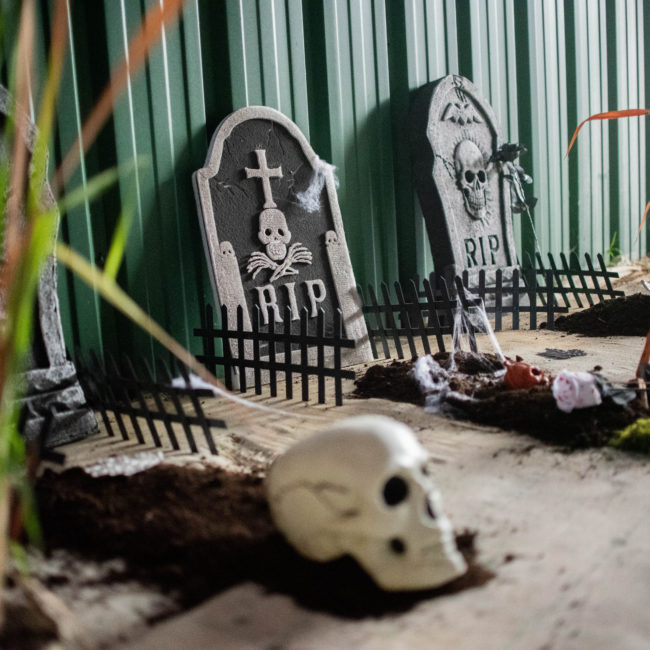 Halloween2024137