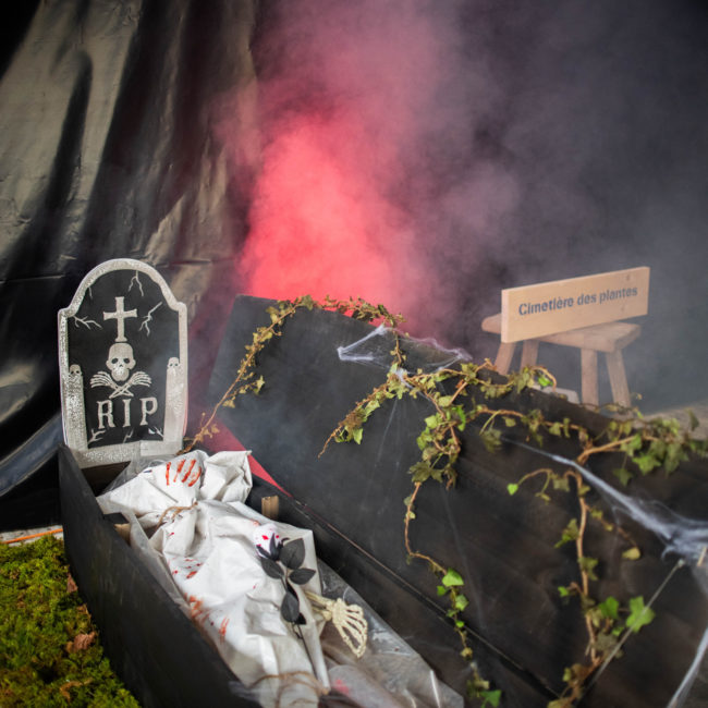 Halloween2024158