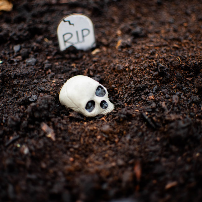 Halloween202467